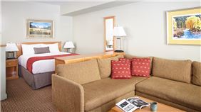 Deluxe Studio Condominium