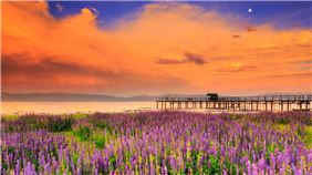 Summer at Lake Tahoe