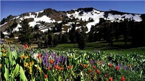 Spring Palisades Tahoe Lodge