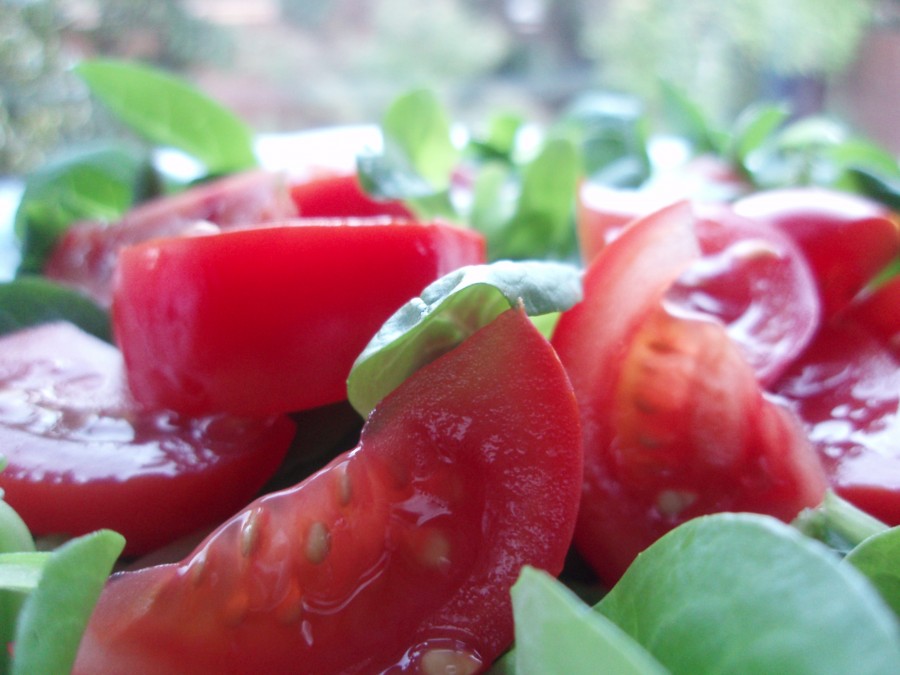 2015 Squaw Valley Farm to Table Summer Dinners