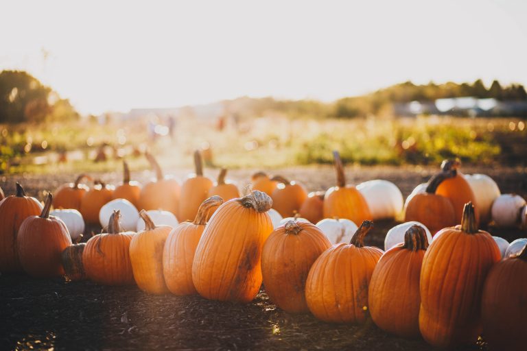2018 Halloween Harvest Festival at Squaw Creek