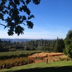 Autumn in Northern California