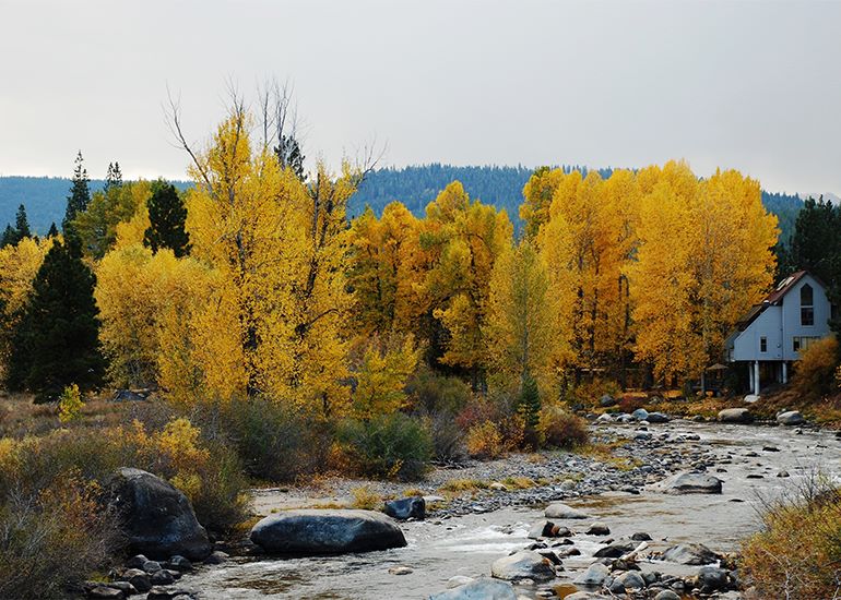 Best Fall Hiking & Leaf Peeping in Tahoe