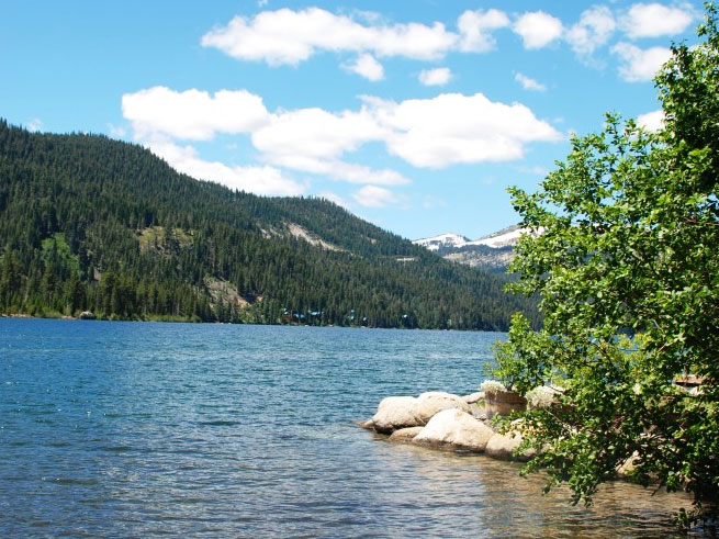 Donner Lake Run