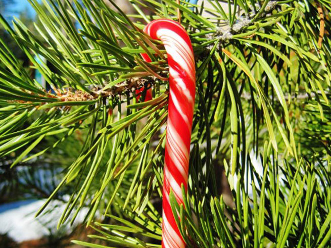 Holiday Tree Lightings in North Lake Tahoe