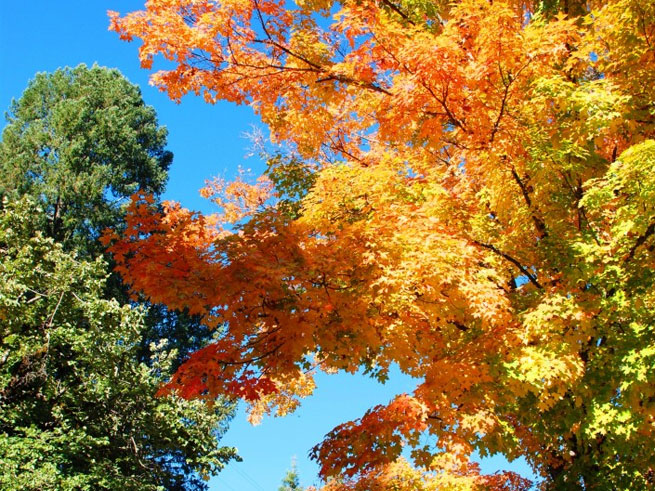 It's Time for an Autumn Getaway!
