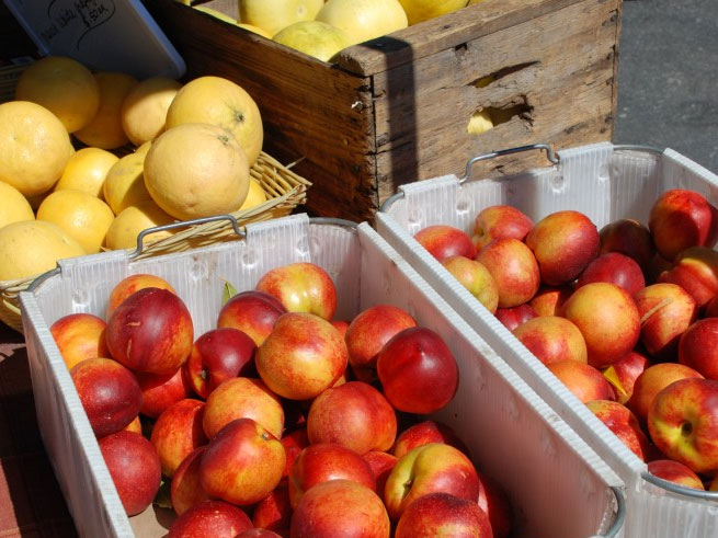 Lake Tahoe Farmers' Market 2013