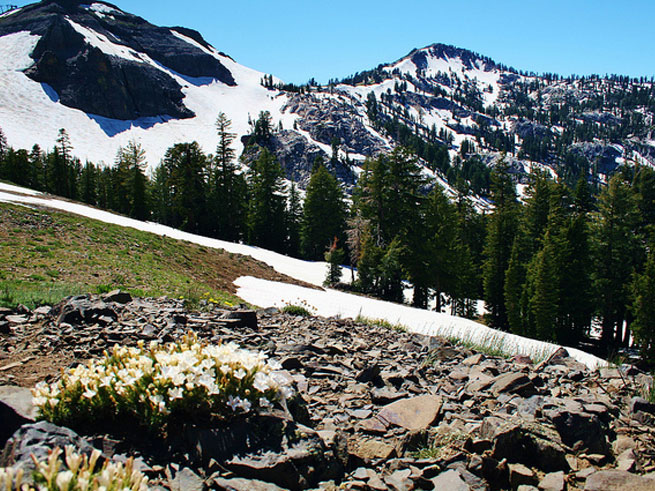 Squaw Valley Mountain Run