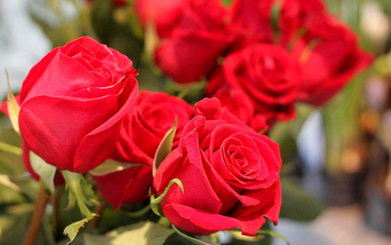 Valentine's Day Romantic Getaway Package