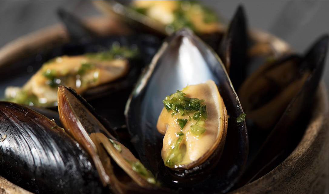 Wolfdale's Cuisine Unique at Tahoe City