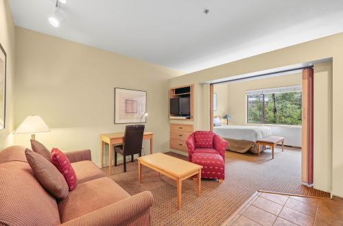 155 | Hiker’s Studio - A/C + VIEWS You’ll Love
