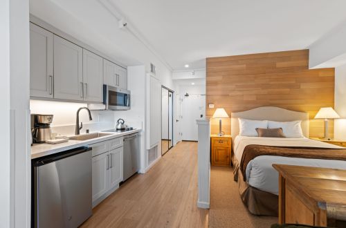 First Tracks | Remodeled Studio, Ski-In/Out, 105