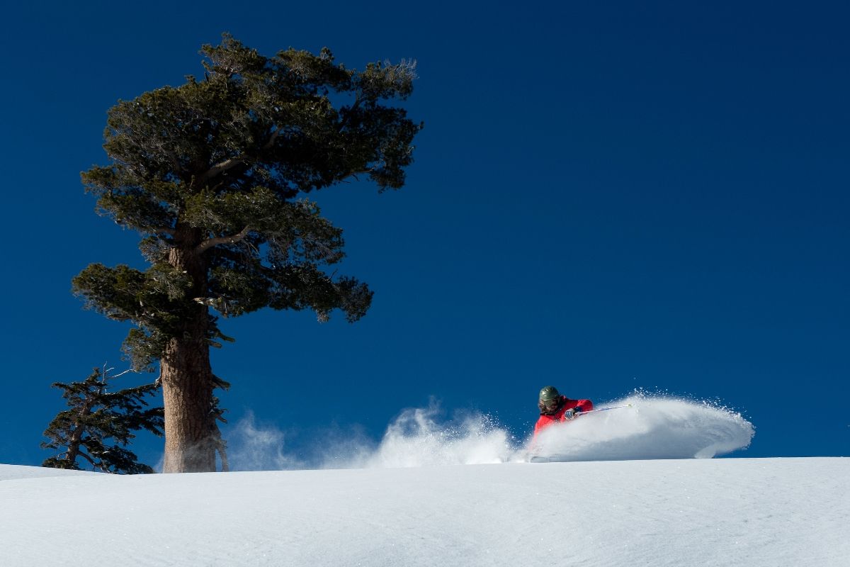 person skiing